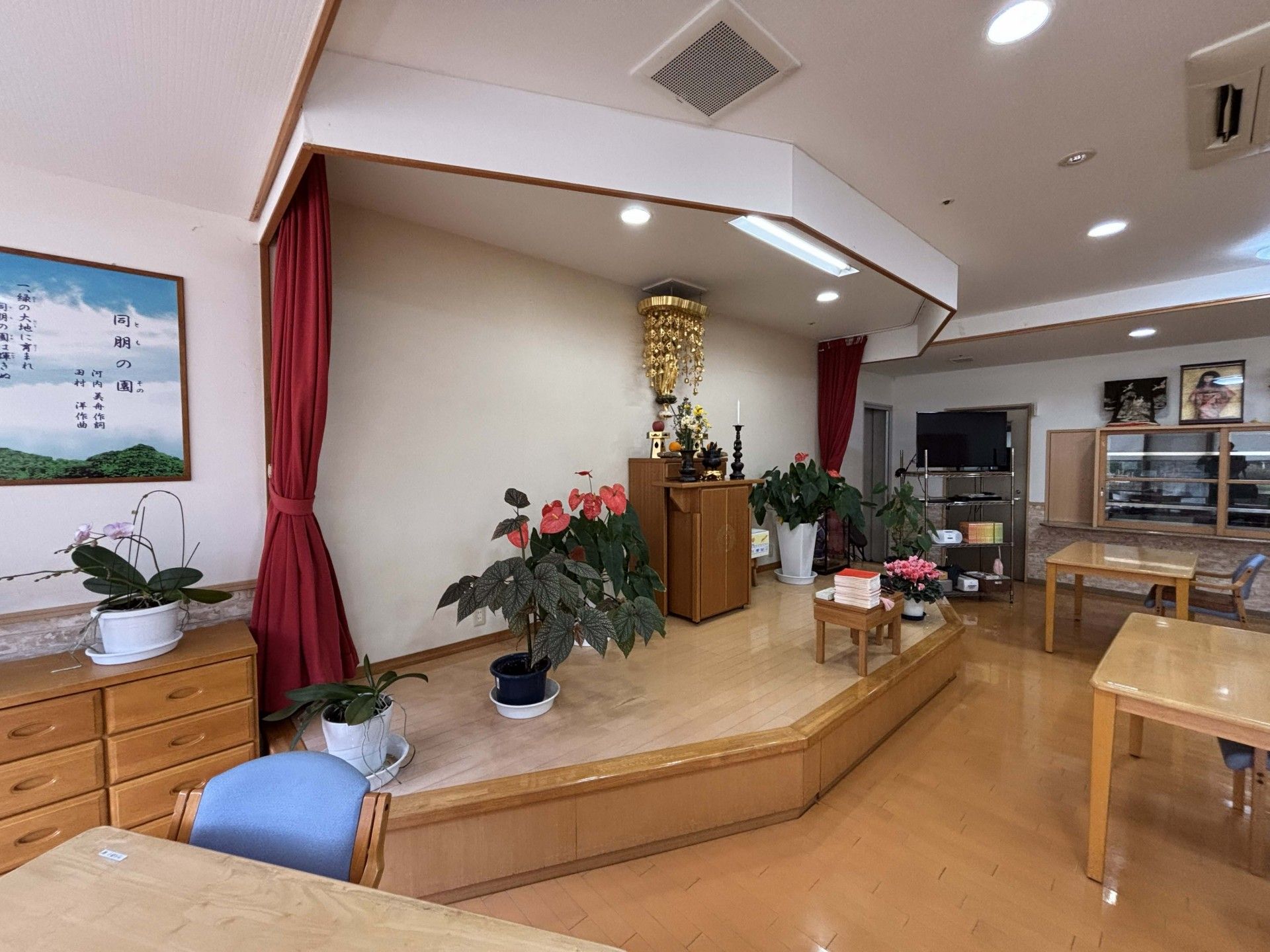 植物が飾られた室内