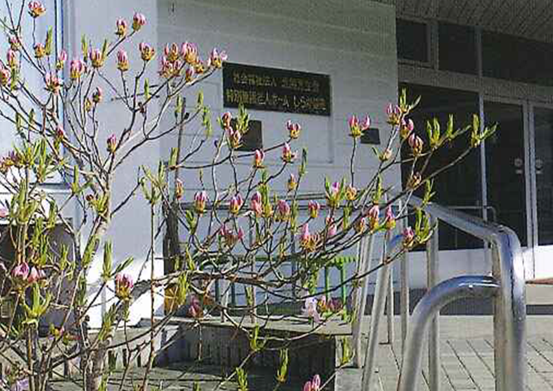 春の花が咲く入口