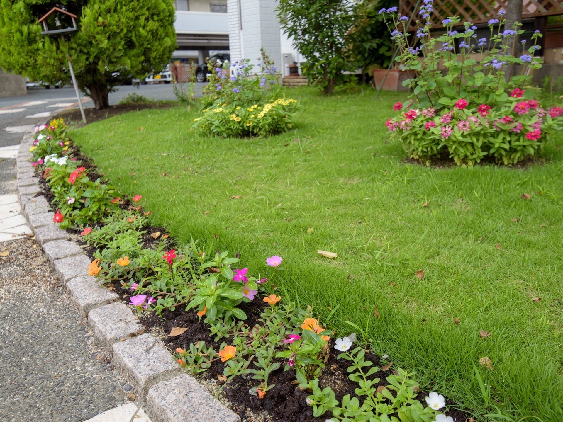 赤や黄色、色とりどりの花が咲く庭