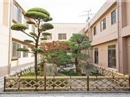 松の木などが植えられた日本庭園が敷地の中心にある。
