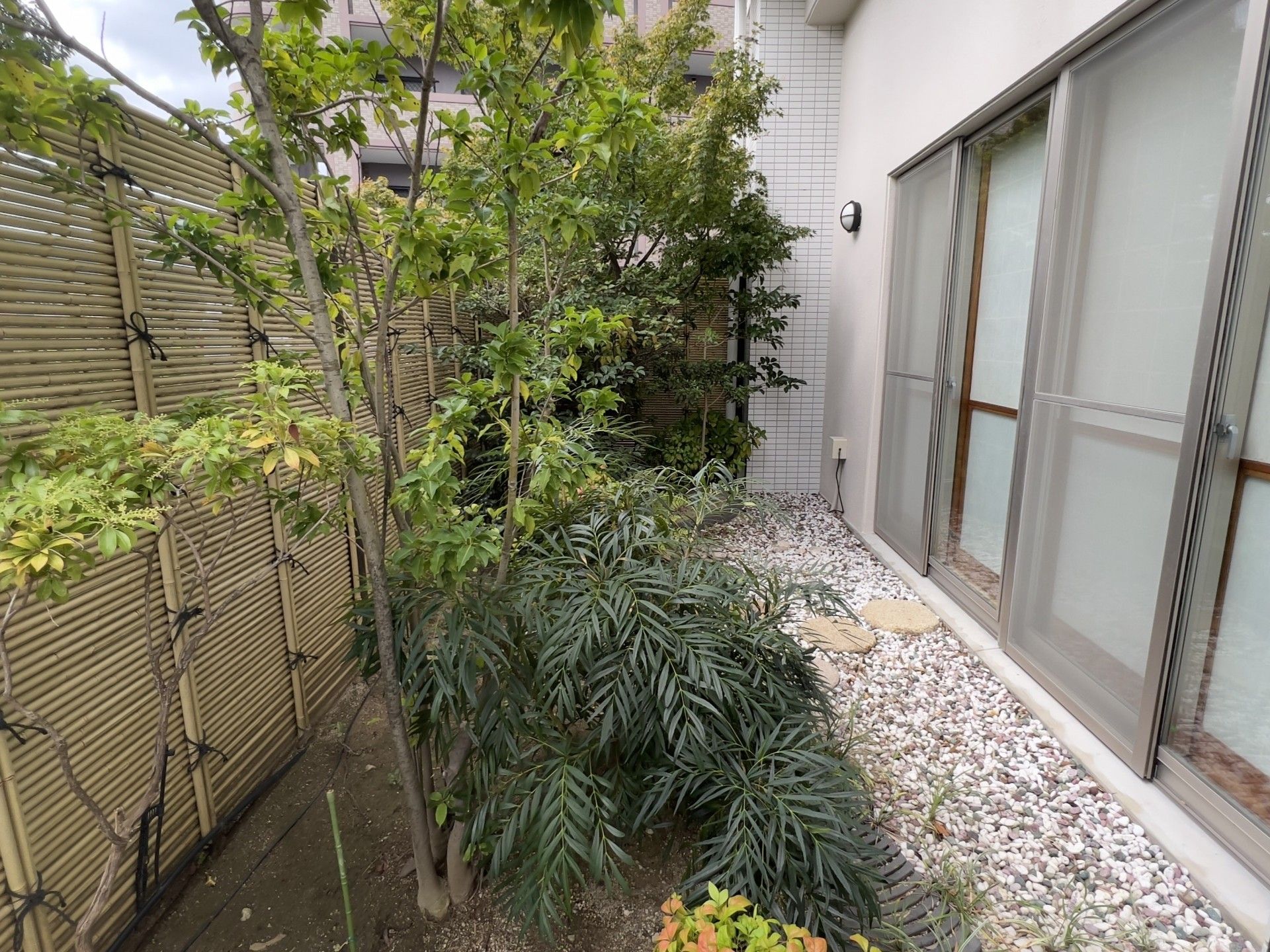 緑の植栽がある庭