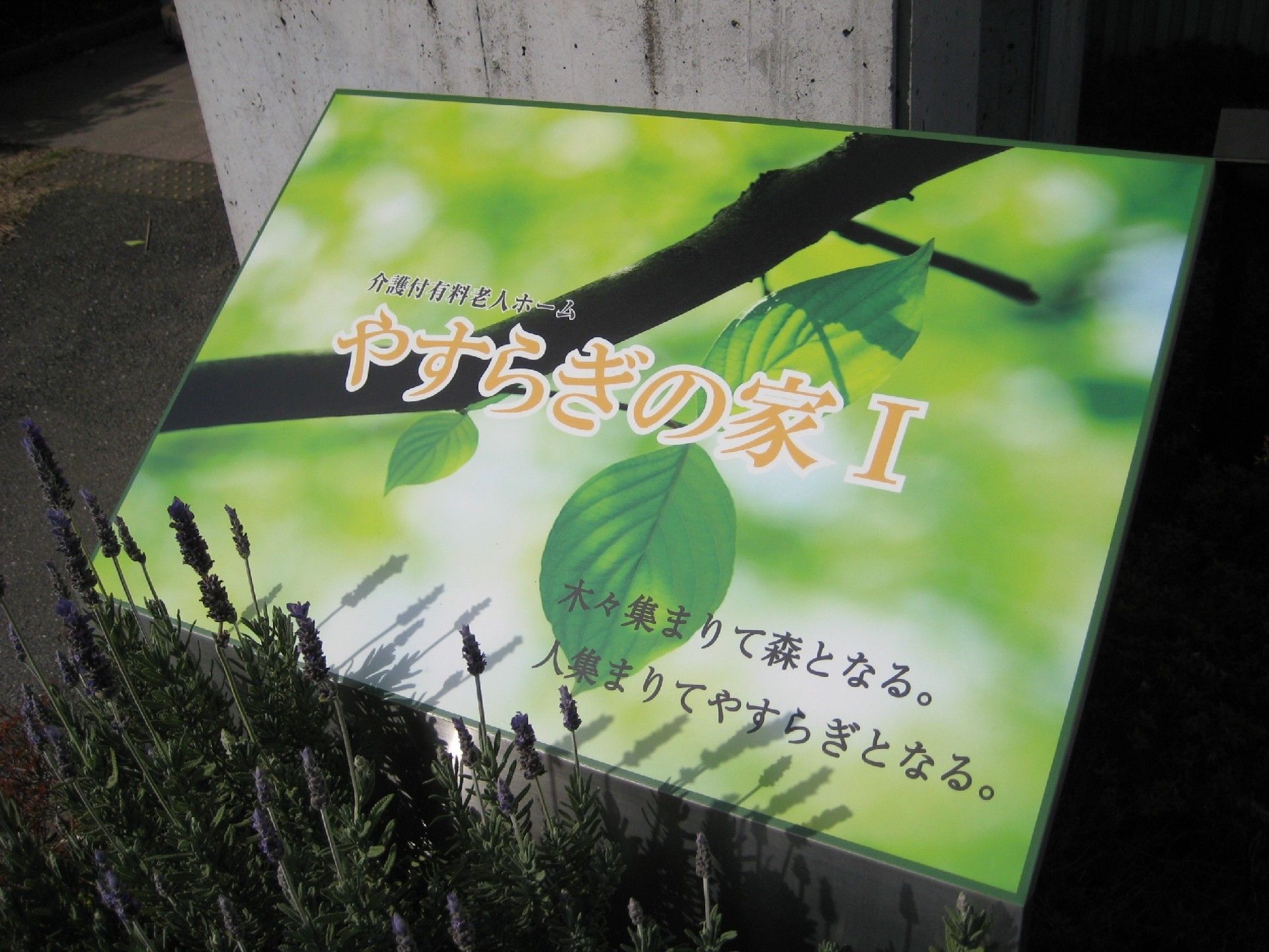 鮮やかな緑が印象的な、介護付き有料老人ホームの看板