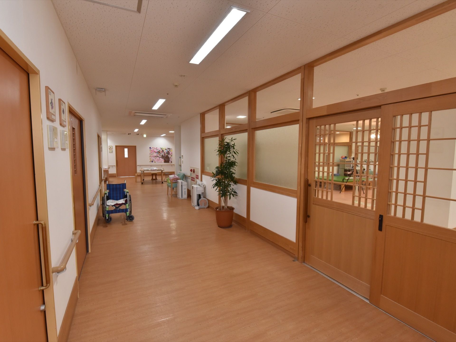 廊下の幅はとても広い。壁には歩行を補助する手すりが取り付けられている。観葉植物が飾られている。部屋の扉は引き戸になっている。