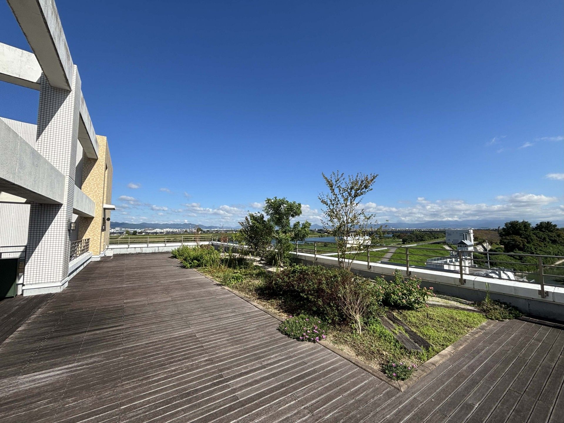広々とした屋上庭園
