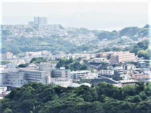 施設から見える風景
