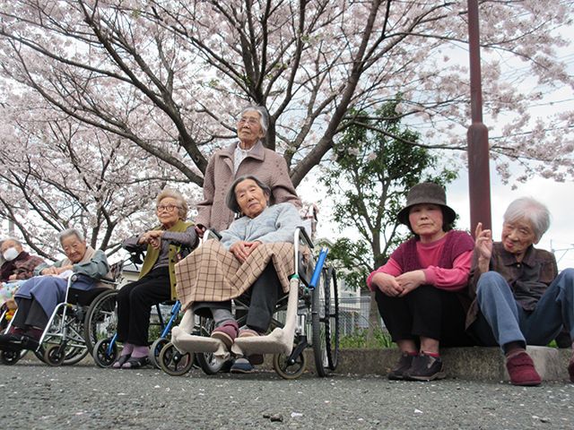 お花見を楽しむ入居者の様子。車いすを使用している人もいる。