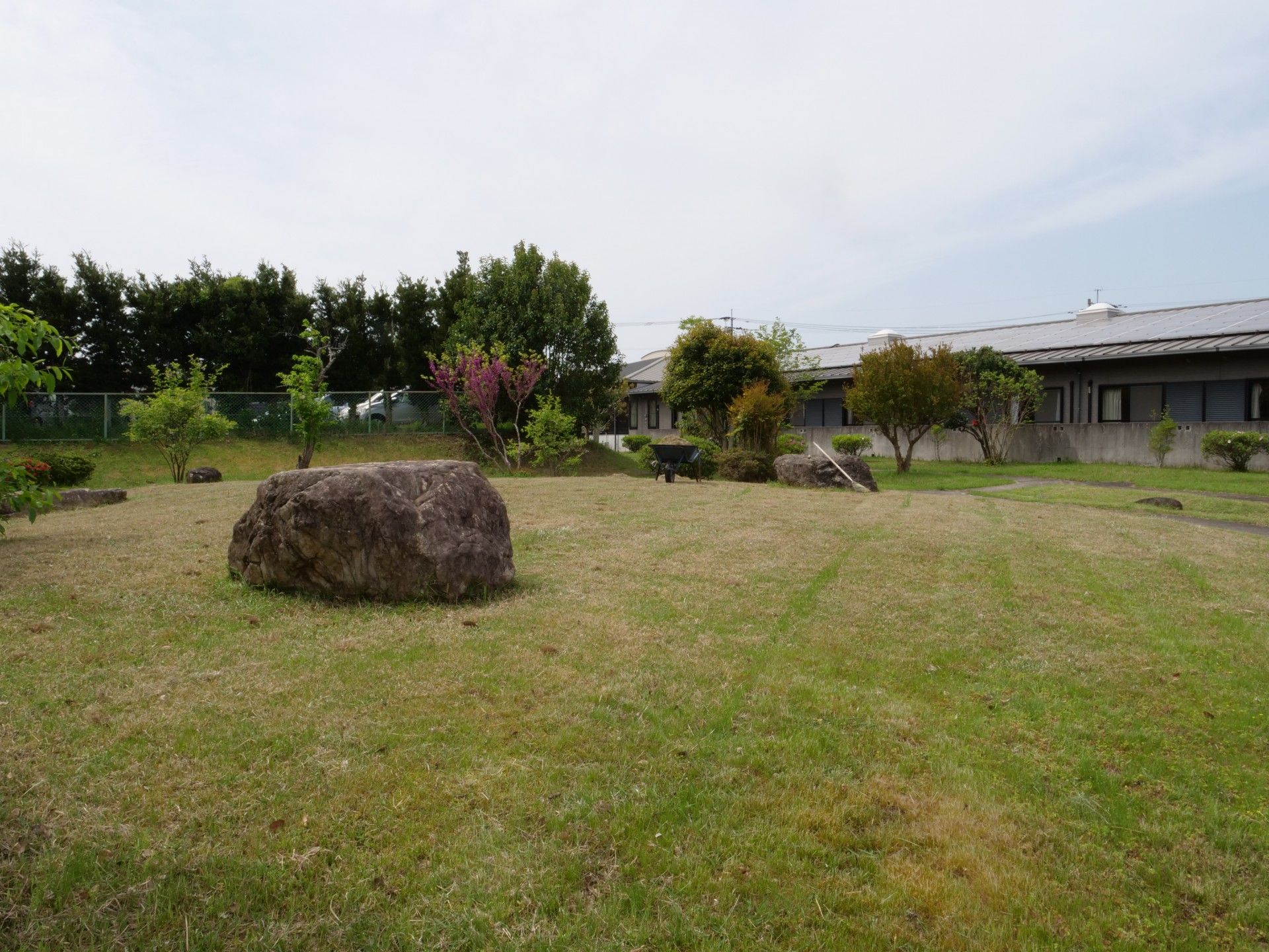緑豊かな庭園
