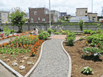 色とりどりの花壇の庭