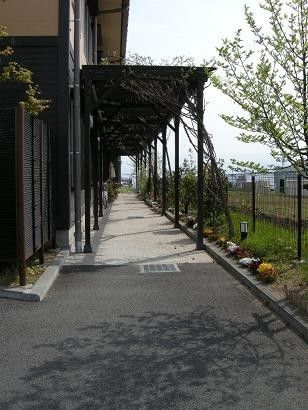 散歩道の風景