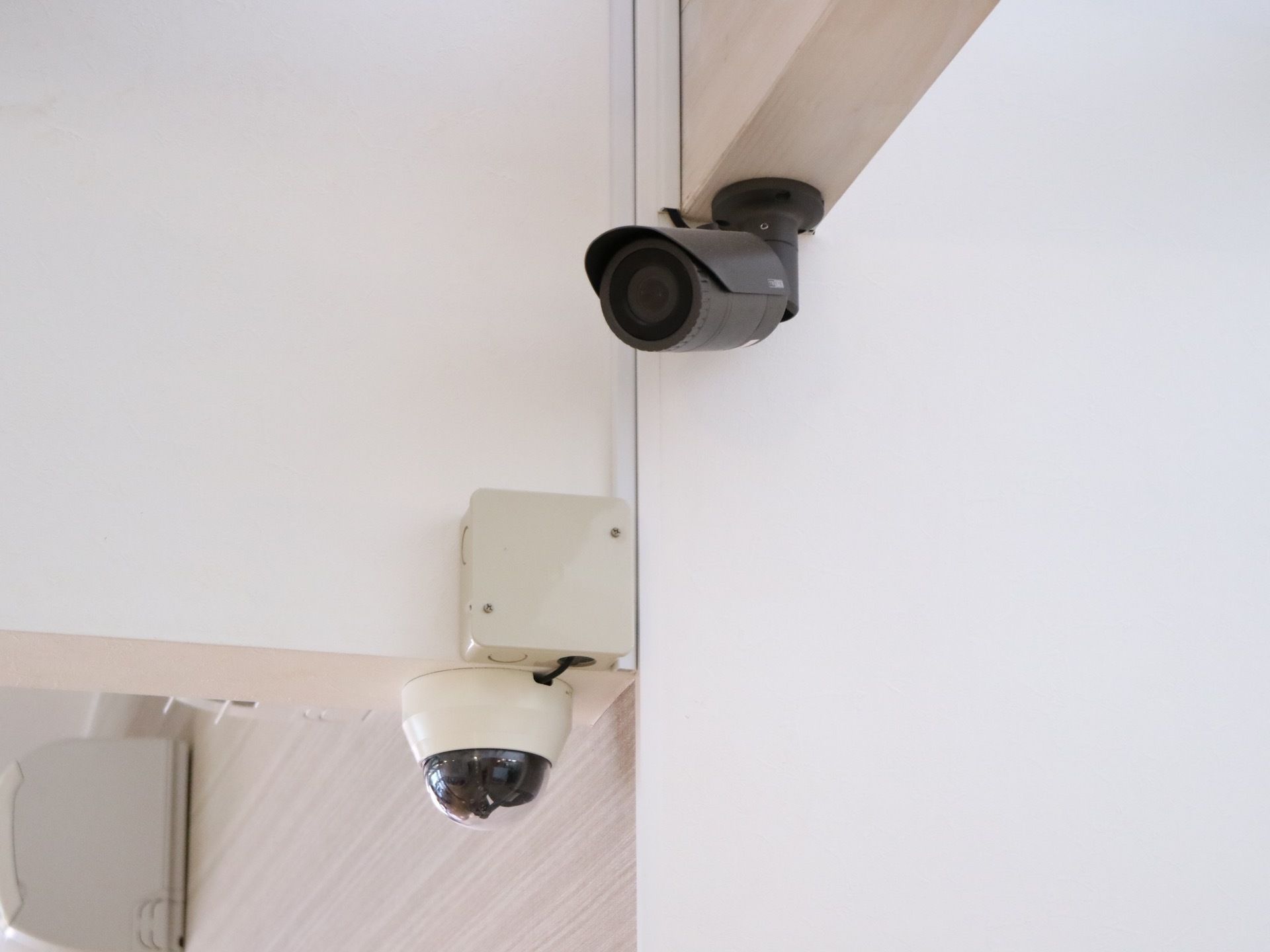 建物の天井には、防犯カメラが複数台設置されている。防犯以外でも、効率よく運営が行えるように活用されている。
