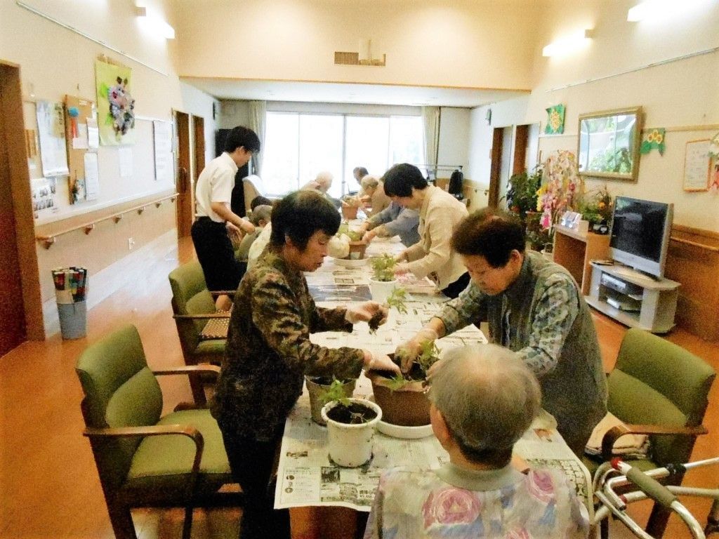 施設内のレクリエーションで何かを植えている様子。高齢者とスタッフが取り組んでいる場面
