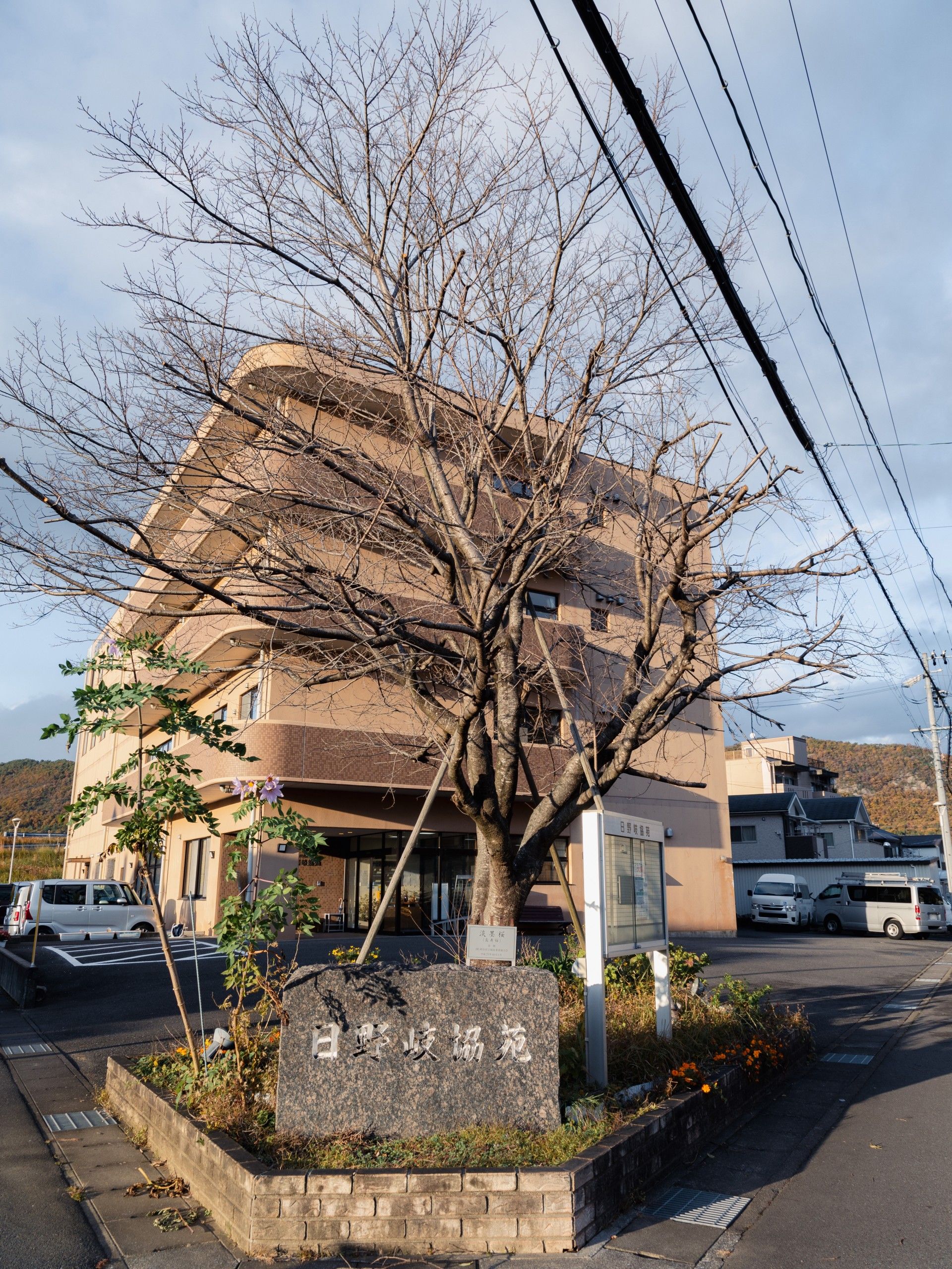 建物の外観と看板