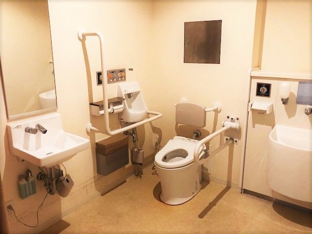 広いトイレには背もたれや手すりが付いたトイレと手洗いスペースが複数ある。