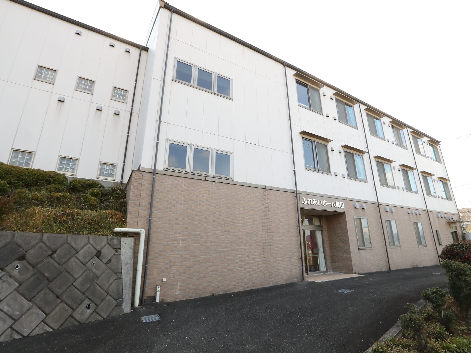 草木が植えられ、日当たりのいい場所に建っている白とブラウンの3階建ての建物。