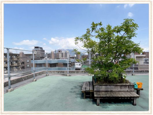 中庭