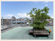 地域密着型 介護付き有料老人ホーム 幸和