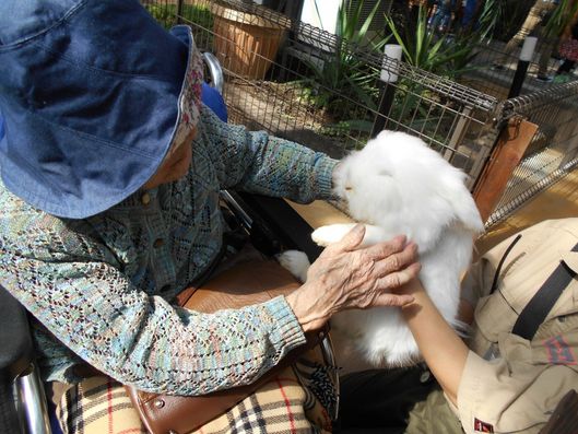 動物園へのお出かけイベント