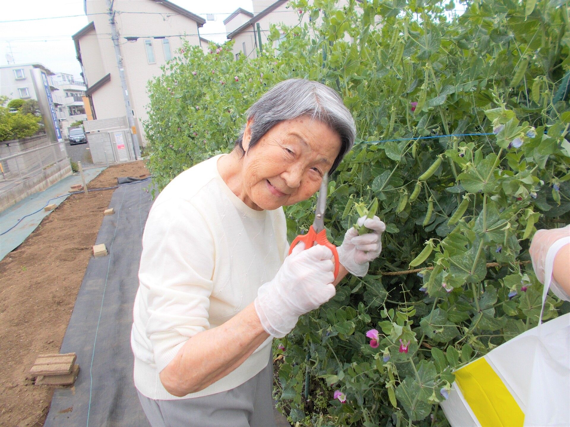 施設の中庭で植物を収穫し、笑顔で写真に納まる施設利用者の写真