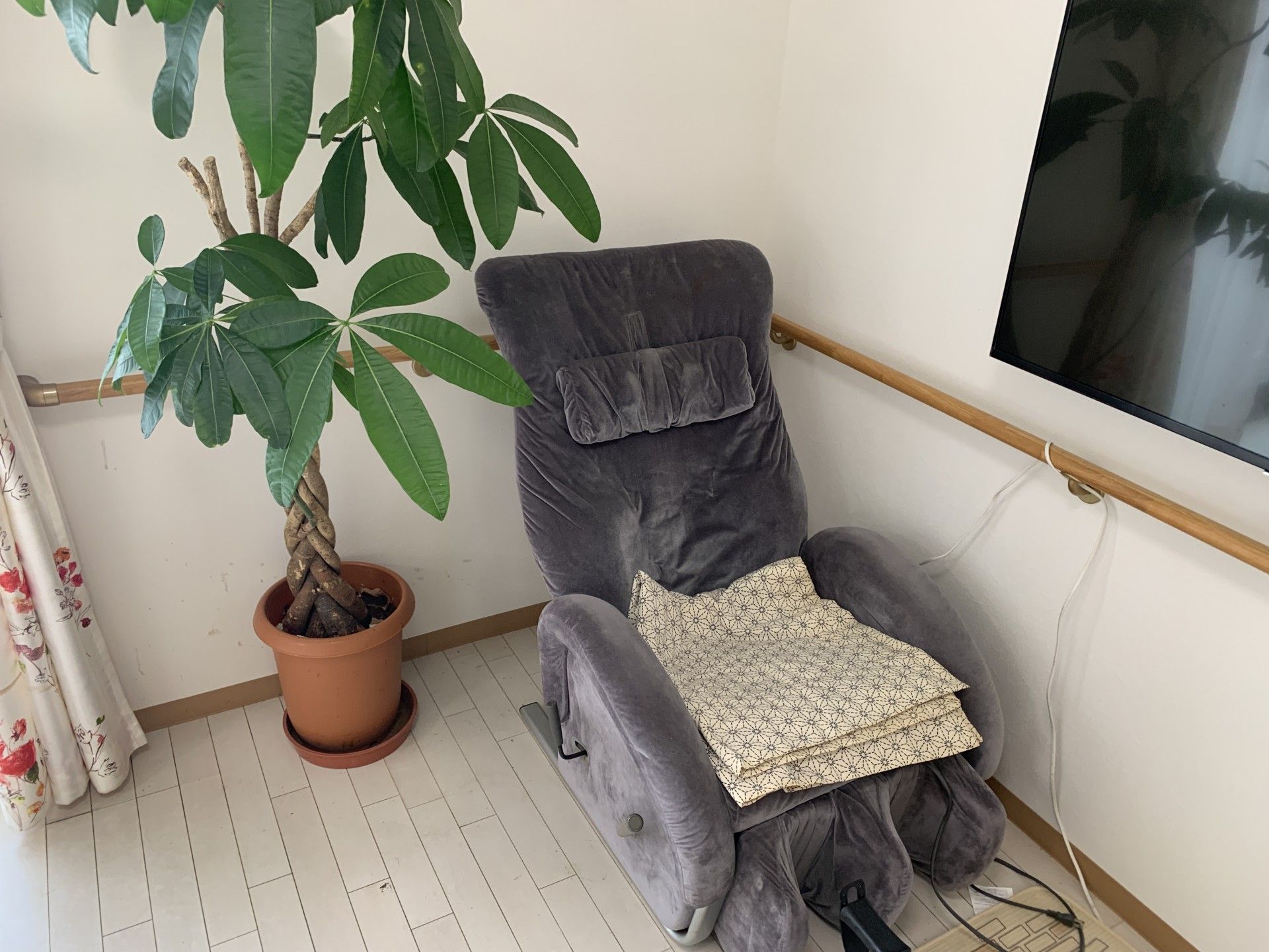 リラックスチェアと観葉植物