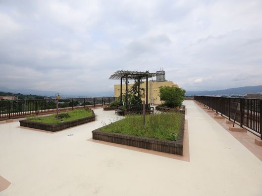 屋上庭園