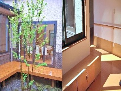 緑豊かな中庭と明るい廊下