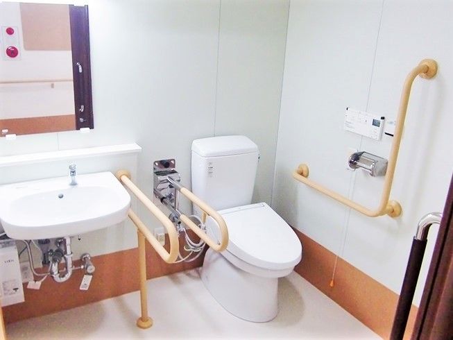洗面台とトイレが写っている写真。どちらも両側に手すりが取り付けられている