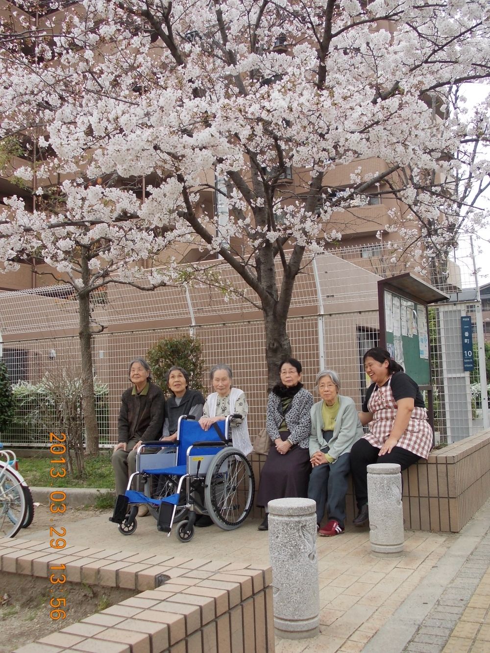 桜の花の下で写真におさまる高齢者の様子。車いすに乗っている人もいる