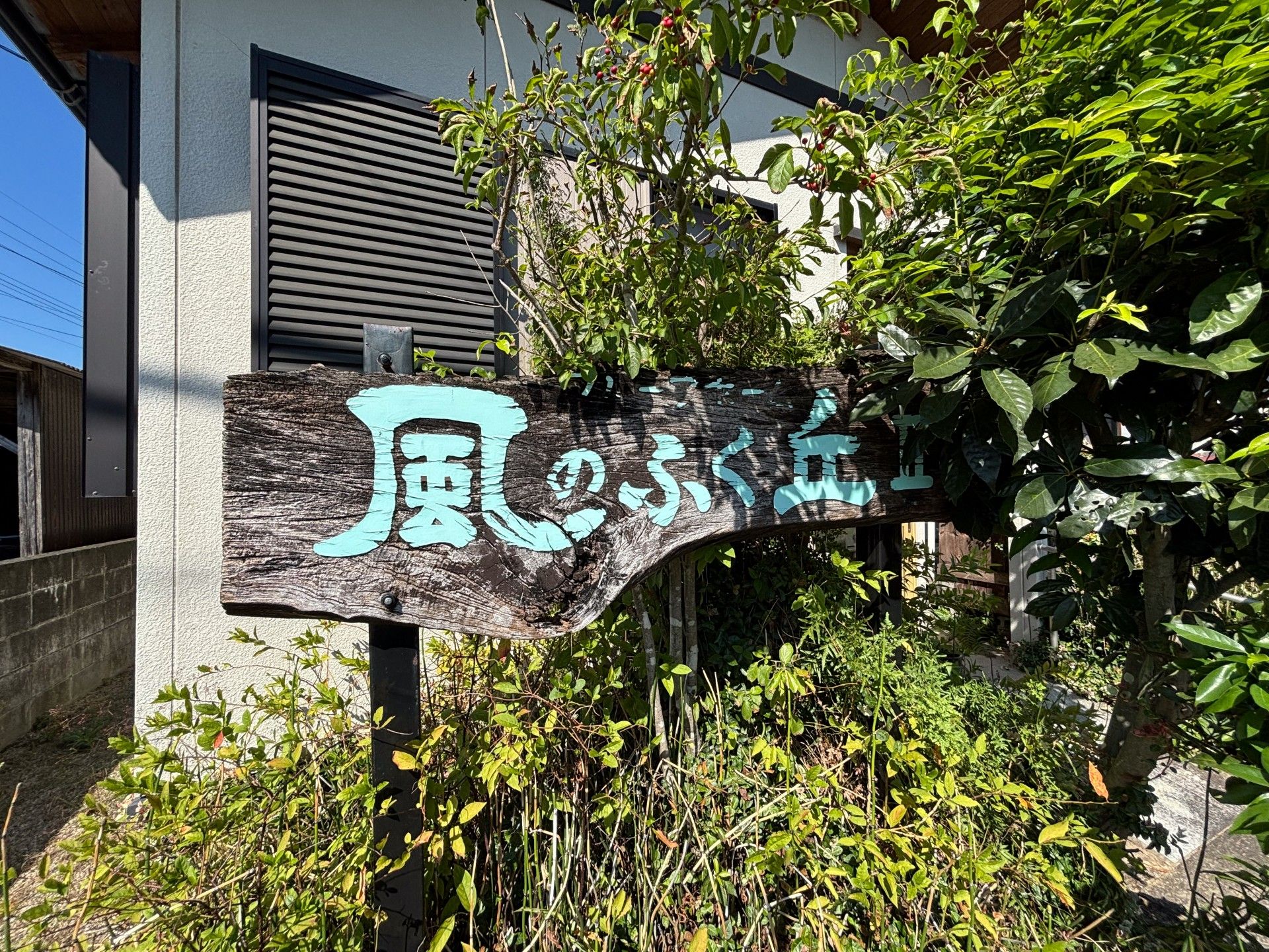 自然に囲まれた看板