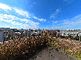 開放的な屋上の風景
