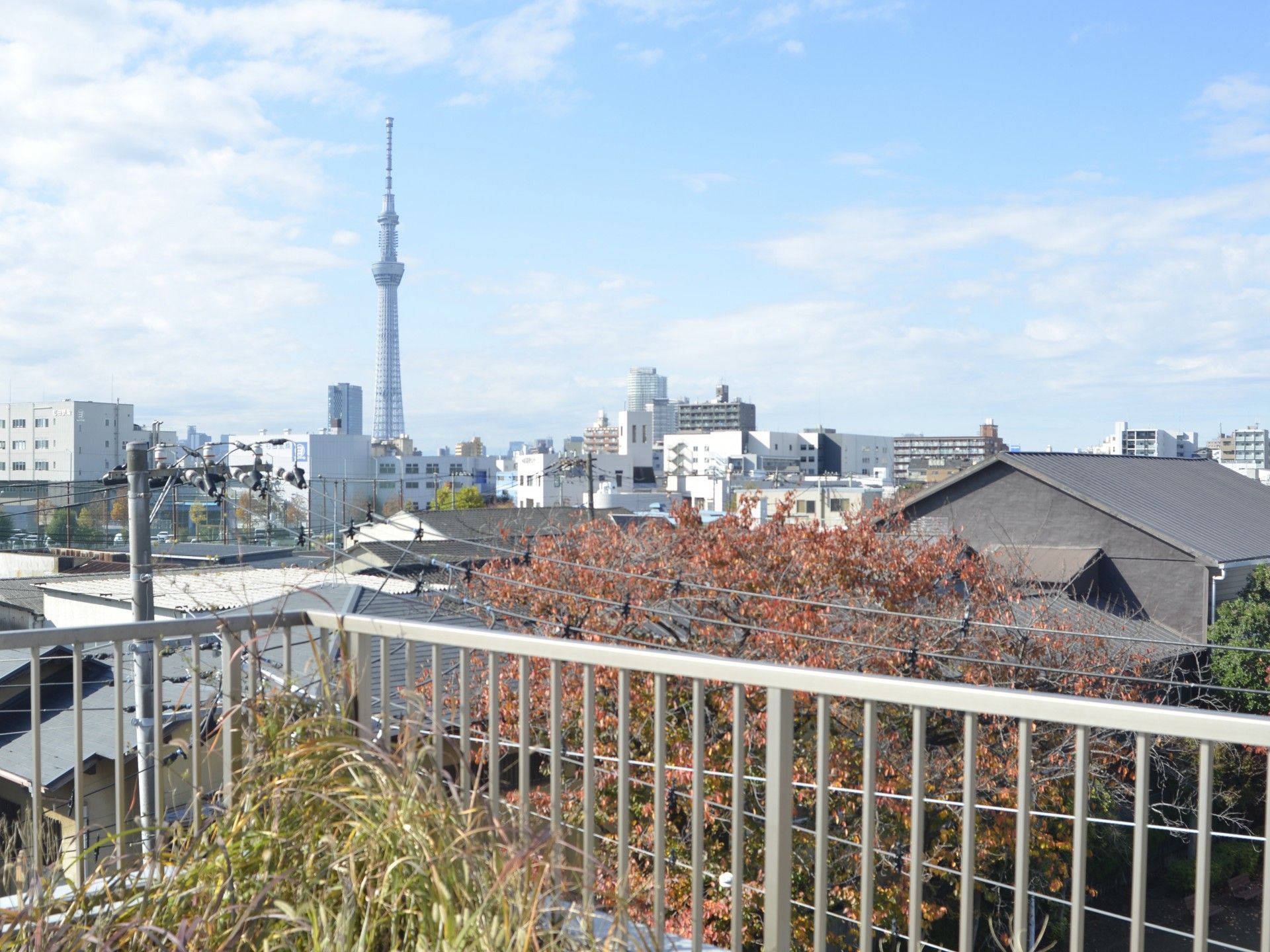 遠くにタワーが見える景色