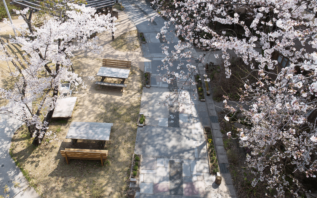 桜並木のある庭園