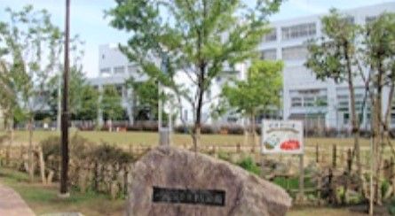 施設のすぐ近くには自然を身近に感じることができる、緑豊かな公園が数か所あり、日々の散歩におすすめである。