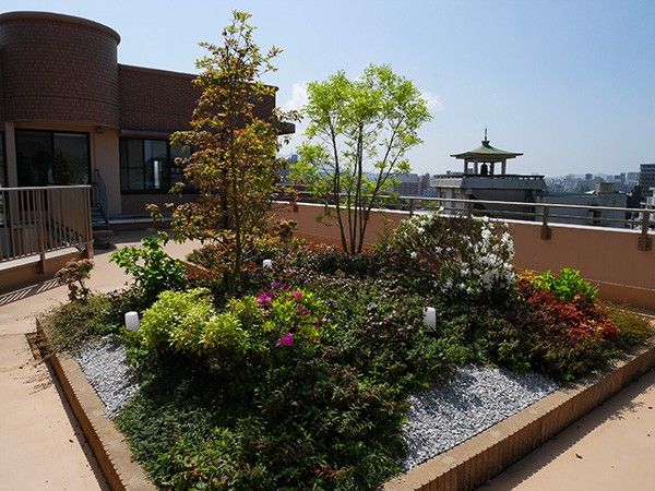 屋上庭園の風景