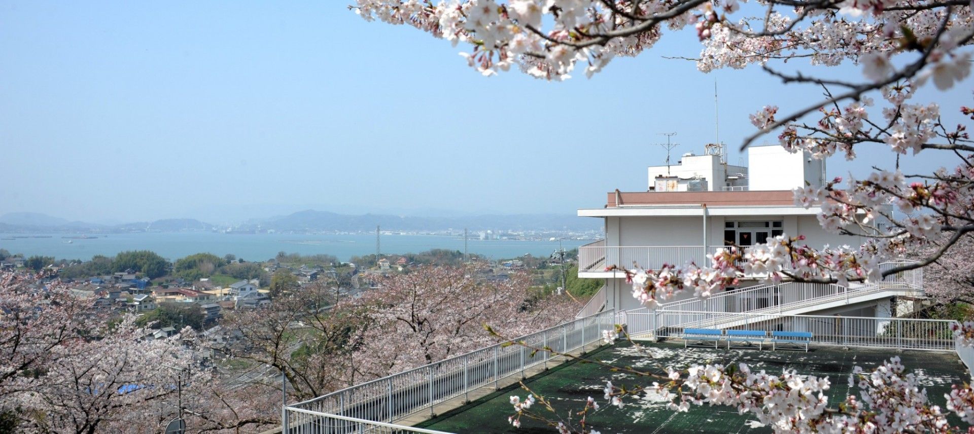 桜と海の見えるテラス