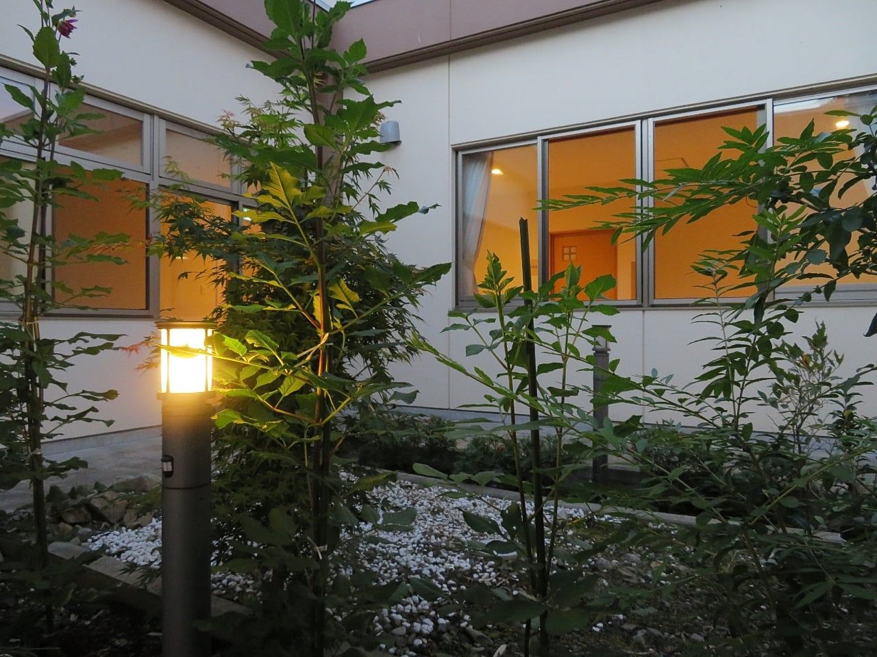 温かい灯りの庭園