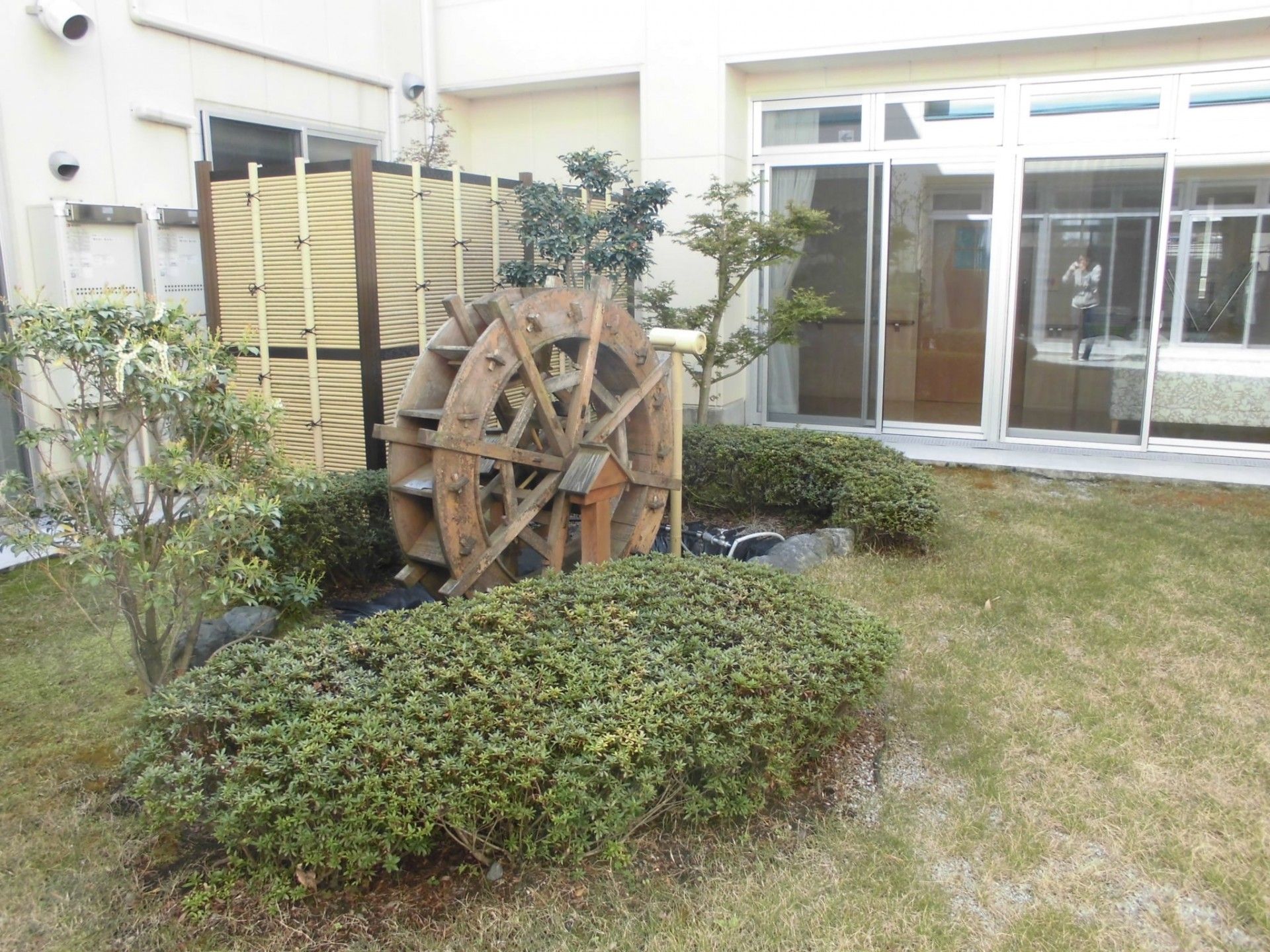 緑あふれる庭園風景