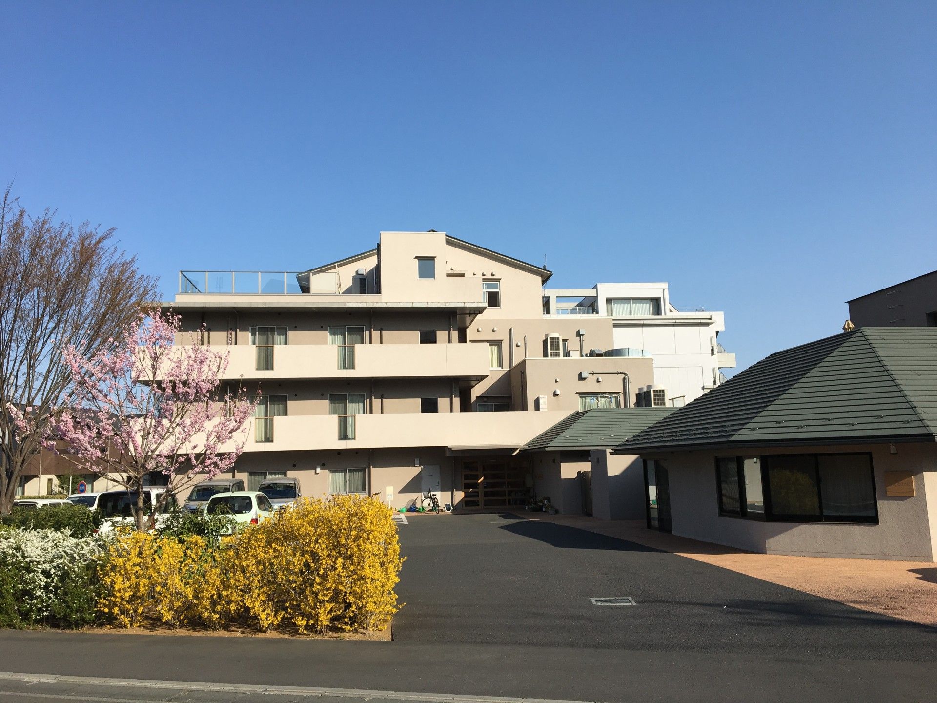 桜並木のある施設外観