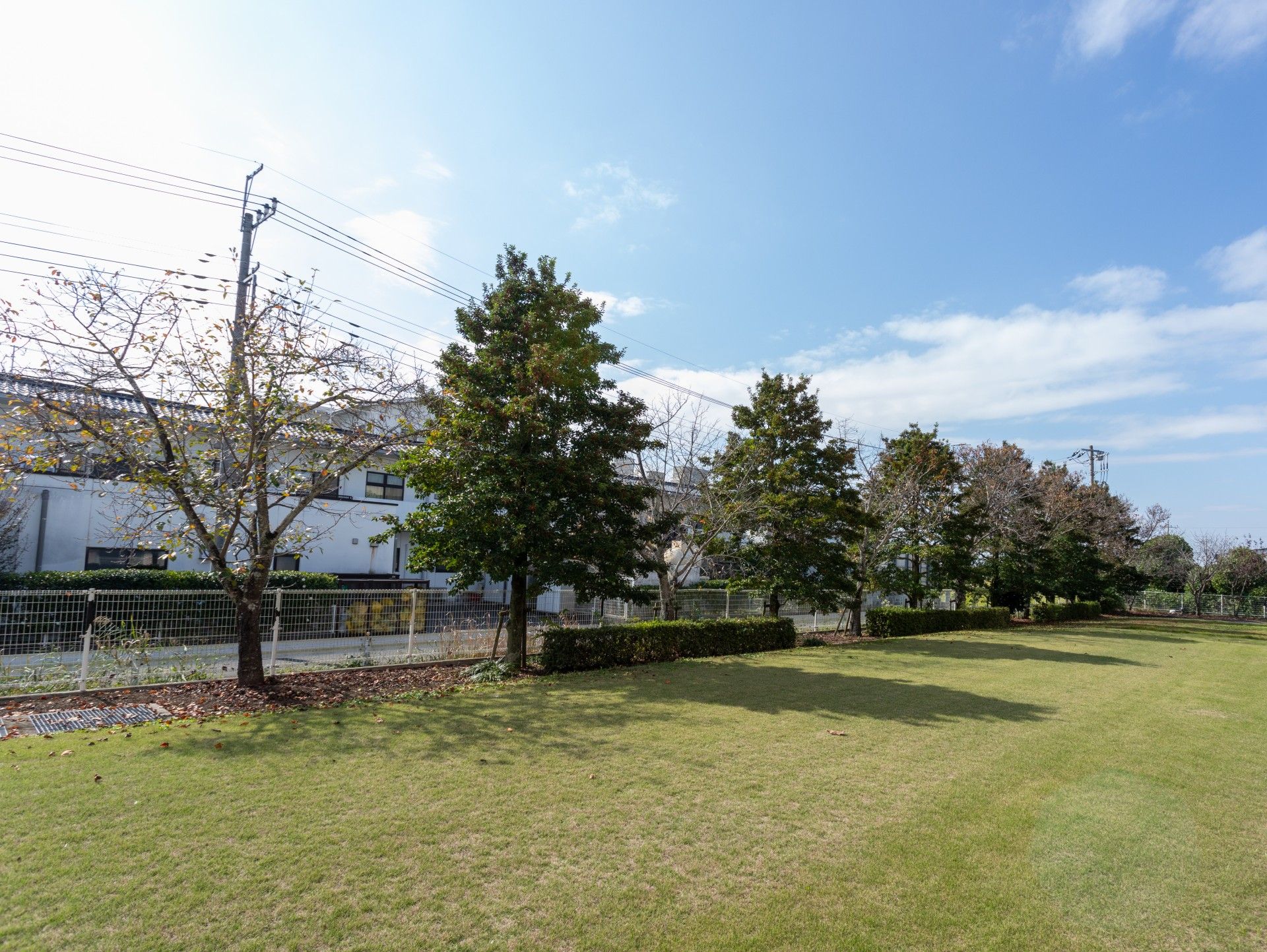 広々とした緑の庭