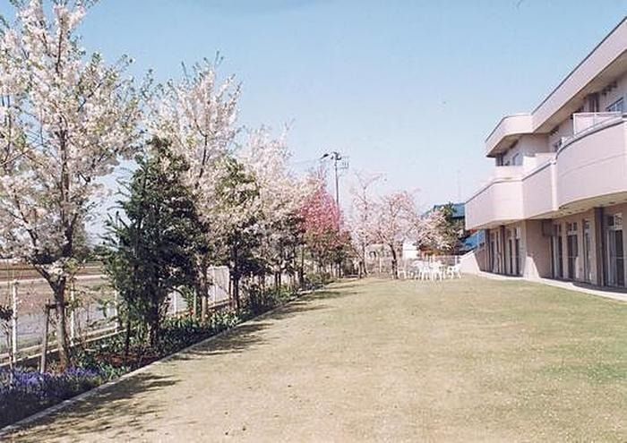 桜並木のある庭