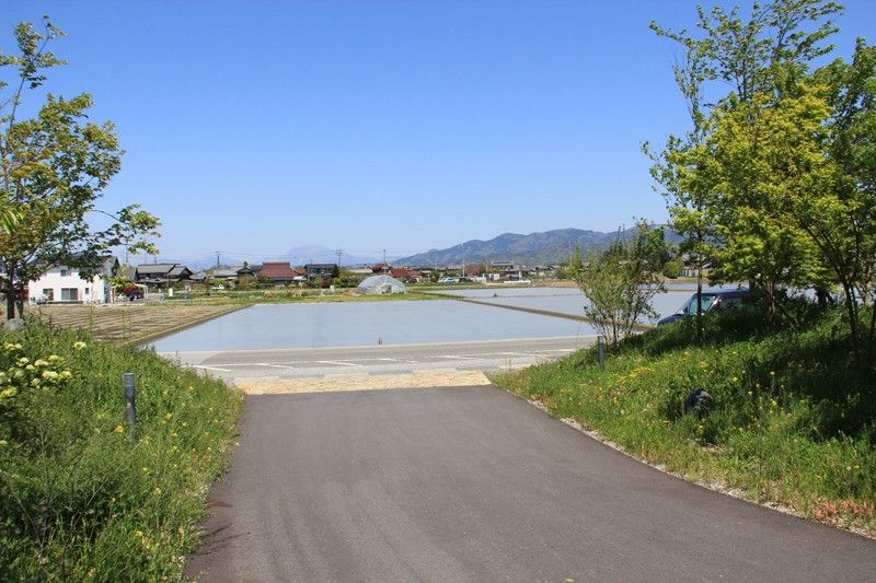 自然に囲まれた散策路