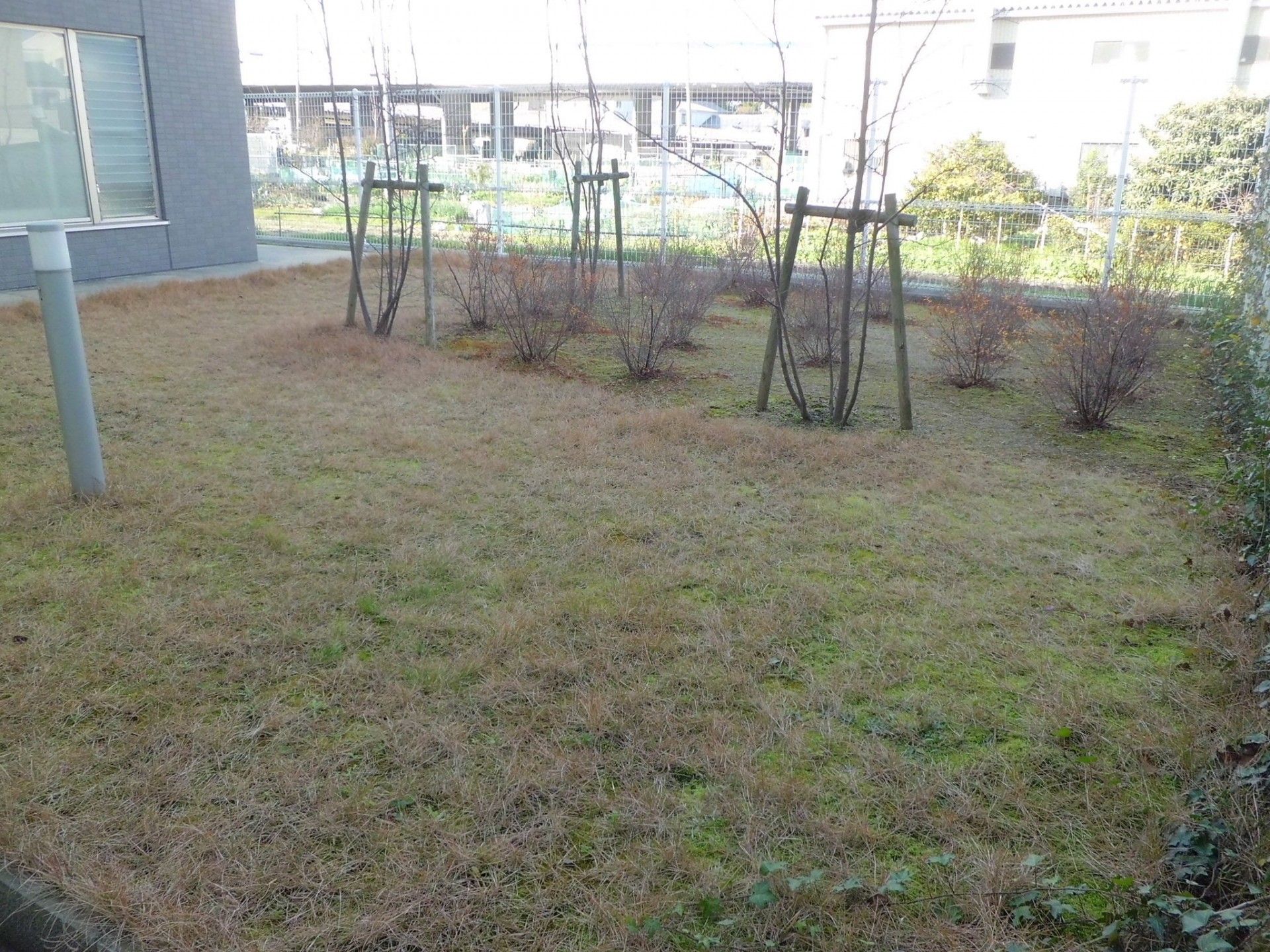 緑豊かな庭園風景