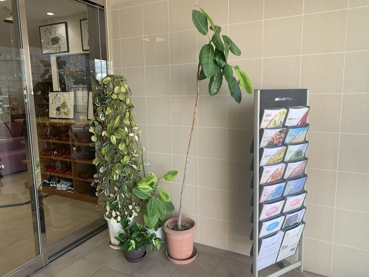 パンフレットと観葉植物のあるエントランス