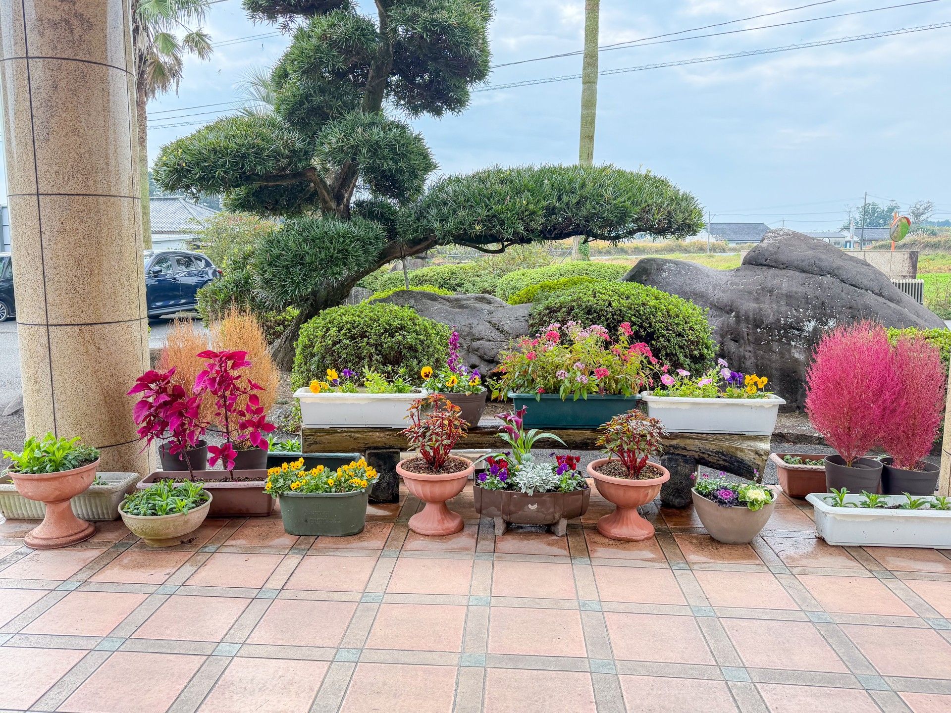 色とりどりの花壇の前庭