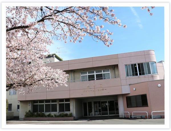 桜並木のある建物正面