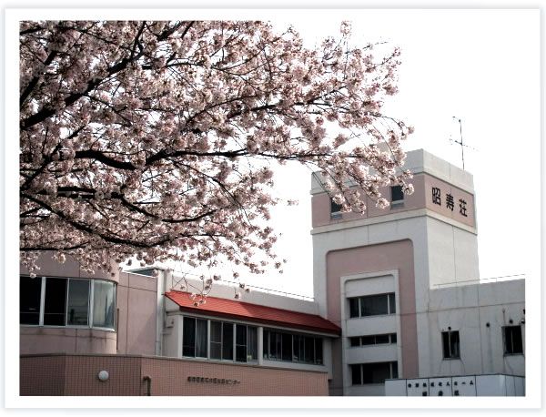 桜並木のある建物正面