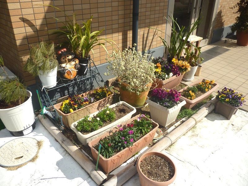 プランターや植木鉢を並べて、季節の花々や草花を植えている花壇