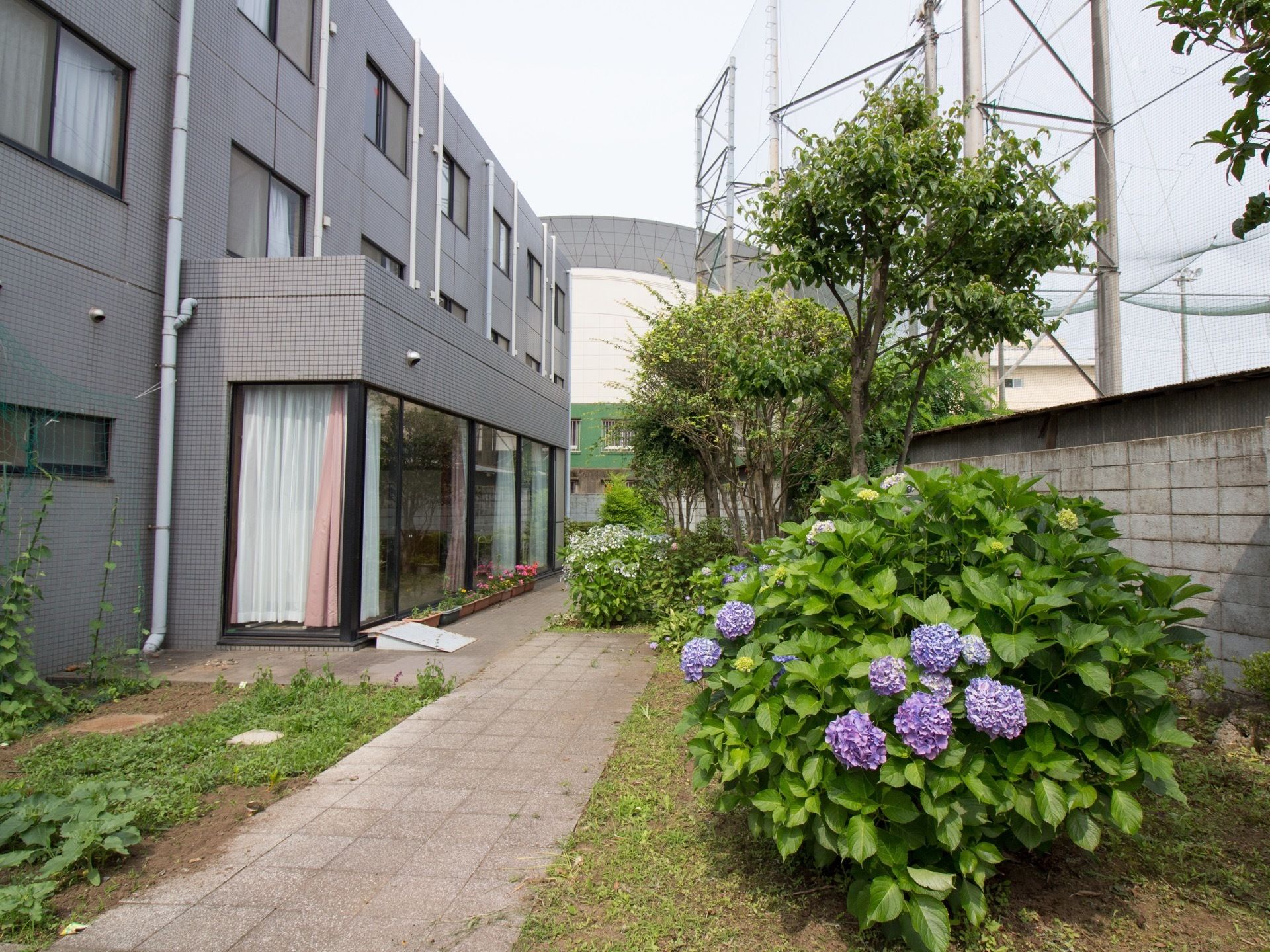 敷地内に季節の花や木々が植えられた、中庭が設置されている。コンクリートが敷かれた通路があり、車椅子をご利用の方も外へ出やすい。