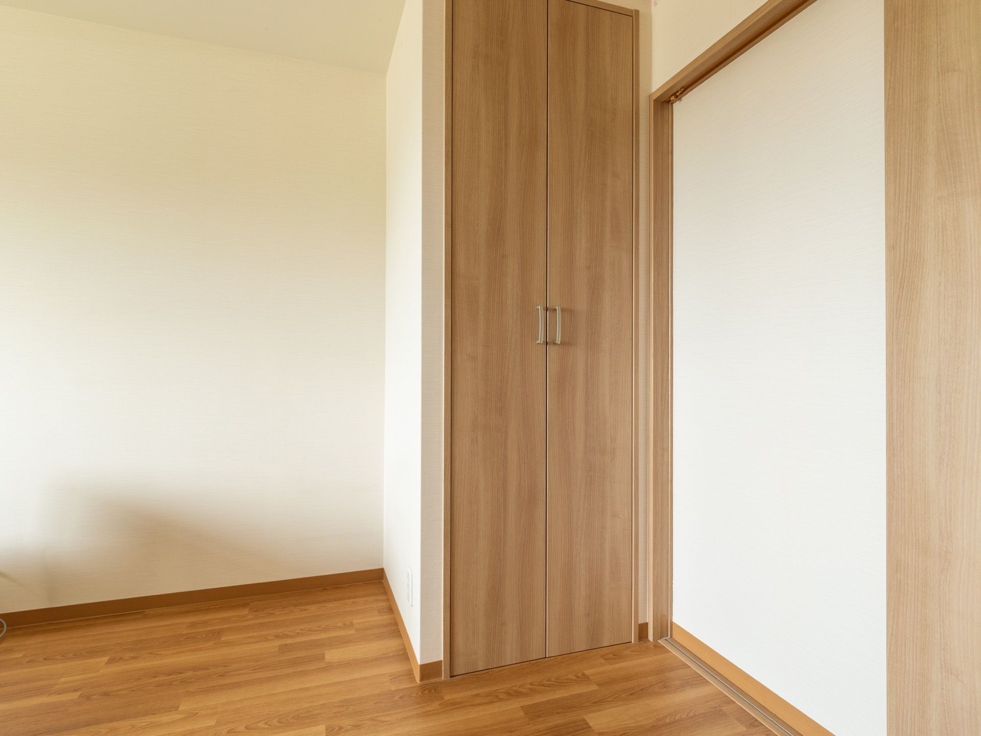 天井まで伸びた扉が付いた収納がある。収納の扉は両開きになっている。居室の入口横に設けられている。収納は半畳ほどの広さである。
