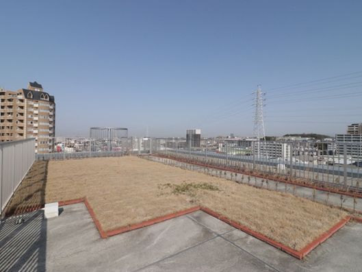 屋上