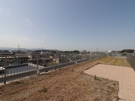 屋上